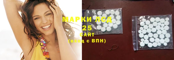 винт Гусь-Хрустальный