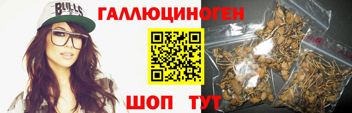 Псилоцибиновые грибы Magic Shrooms Донецк